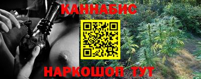 прущие крисы Будённовск