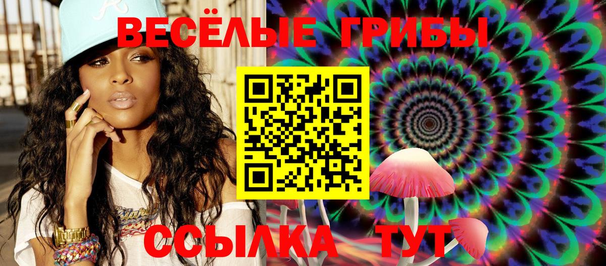 Псилоцибиновые грибы GOLDEN TEACHER  Вход с VPN  Сызрань 
